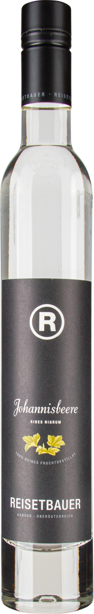 Schwarze Johannisbeere