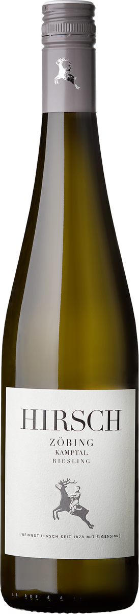 Riesling Zöbing Kamptal DAC bio 2023