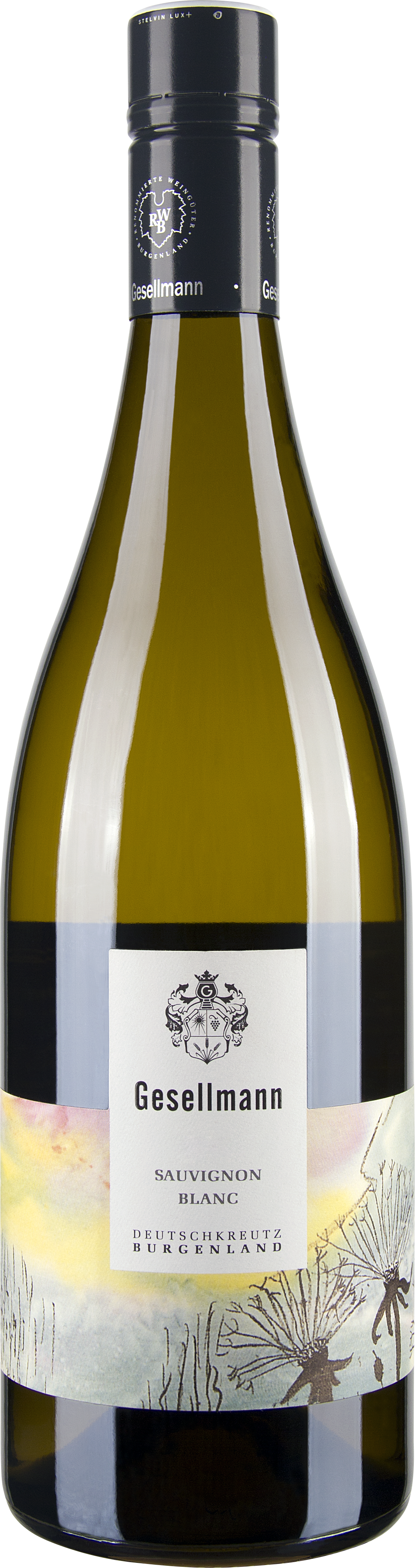 Sauvignon Blanc bio 2023